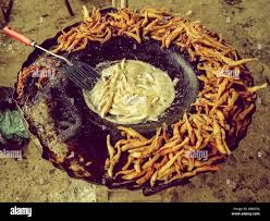 Attēlu rezultāti vaicājumam “Charales”