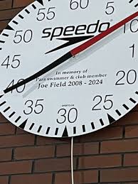 Image result for Loftus Dolphins Swimming Club