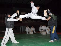Image result for Turners Tae Kwon Do