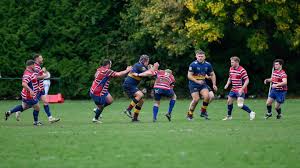 Image result for Wath Upon Dearne Rugby Union Football Club