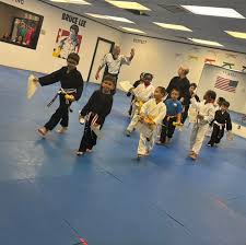 Image result for Apollo Martial Arts Academy