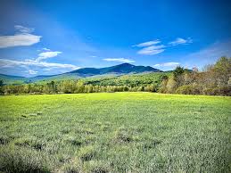 Image result for Farley Hill Bowls Club