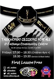 Image result for Utf Taekwondo Cymru Cardiff