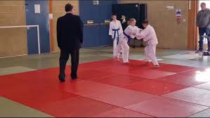 Image result for Phoenix Star Judo Club