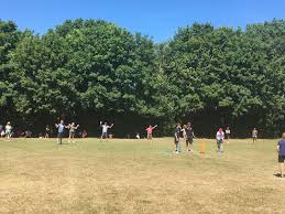 Image result for Shepherdswell Cricket Club
