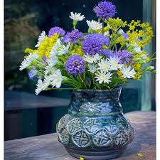 Attēlu rezultāti vaicājumam “Succisa pratensis flower”