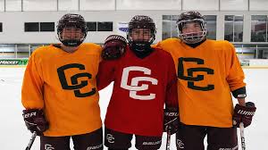 Image result for Carlisle Hockey Club