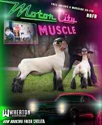 Image result for Shrivenham Smallbore Club