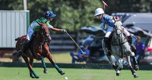 Image result for Hook Sports Association