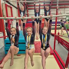 Image result for Haverfordwest Gymnastics Club