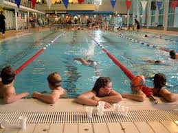 Image result for Kingsbridge Kingfishers Swimming Club