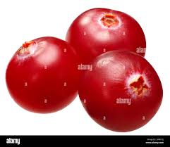 Attēlu rezultāti vaicājumam “Oxycoccus fruit”