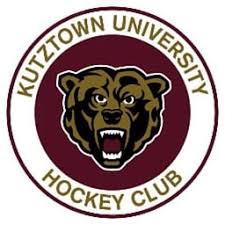 Image result for York University Hockey Club