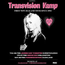 Image result for transvision vamp