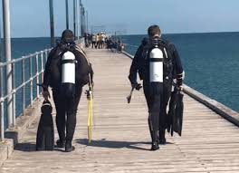 Image result for Diveline