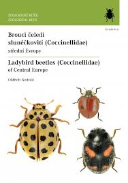 Attēlu rezultāti vaicājumam “Coccinellidae”