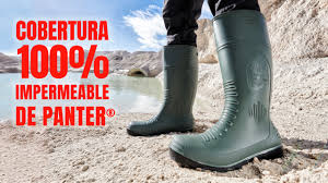 Afbeeldingsresultaat voor panters