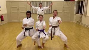 Image result for Harpenden JKA Karate Club
