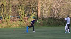 Image result for Yelverton Bohemians Cricket Club