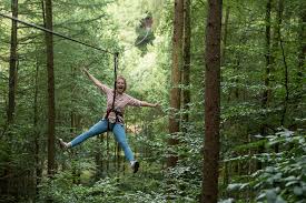 Image result for Go Ape! Dalby