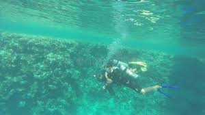 Image result for Three Seas Diving