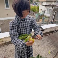 「柿の木利江」の画像検索結果