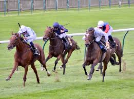 Image result for Elite Racing Club