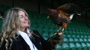 Image result for Wimbledon Hawks