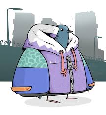 Image result for Hemsworth & District Clay Pigeon Club