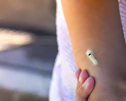 Attēlu rezultāti vaicājumam “Calliteara pudibunda larva”