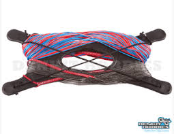 Image result for Baiter Power Kite