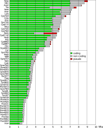 Image result for genome sizes