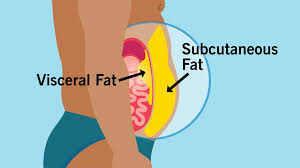 Image result for fat