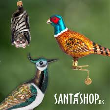 Attēlu rezultāti vaicājumam “Scapania lingulata”