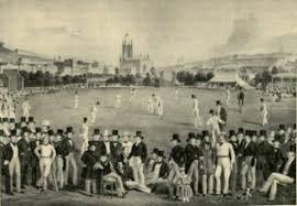 Image result for Sussex County Cricket Club