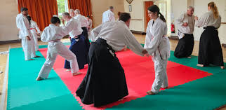 Image result for Ryusui-ryu Martial Arts School East Grinstead