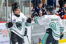 Image result for Pentland Panthers