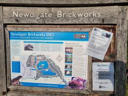Image result for Newdigate Clays