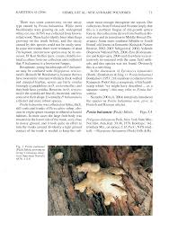 Attēlu rezultāti vaicājumam “Postia undosa”