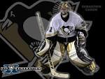 PITTSBURGH PENGUINS caron wallpaper download