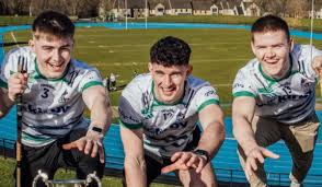 Image result for University Of Limerick Gaa Hurling Club