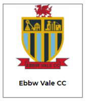 Image result for Vale Cricket Club