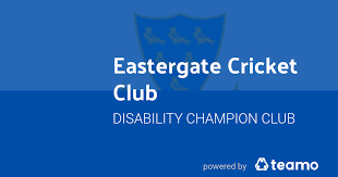 Image result for Chiddingly Cricket Club