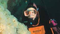 Image result for Plymouth Aquanauts