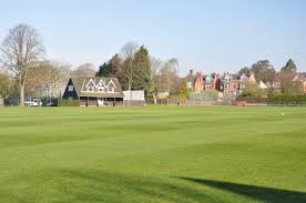 Image result for Ipswich Cricket Club
