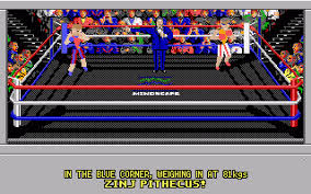 Image result for 4D Sports Boxing