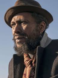 Image result for Maclaren Twin Triumph Heidi Klum