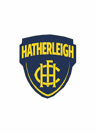 Image result for Hatherleigh Cricket Club