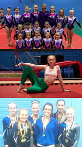 Image result for Thornton Sport Gymnastics
