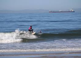 Image result for York University Surf Club
